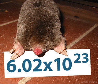 Invasion of the MOLE Trainers