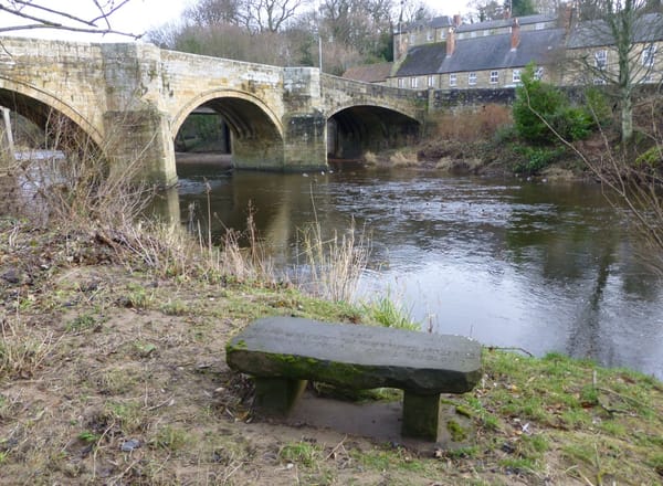 Introducing the Bridge Seat Cooperative